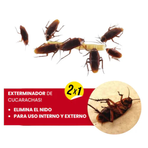 (COMPRA 5, LLEVATE 10)  FULMITEX CHAK EXTERMINADOR DE CUCARACHAS